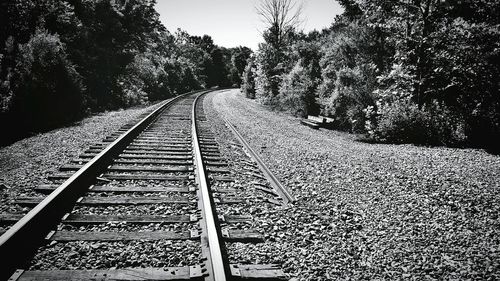 Railway tracks amidst trees against sky