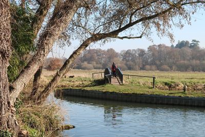 Rear view of man on woman by lake