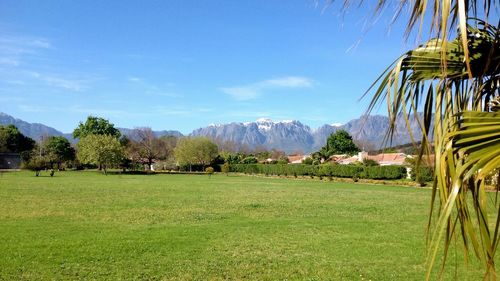 Scenic view of landscape against blue sky