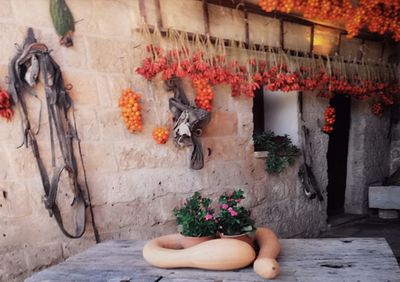 Woman sitting on potted plant by wall