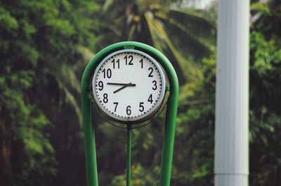 Close-up of clock on tree trunk