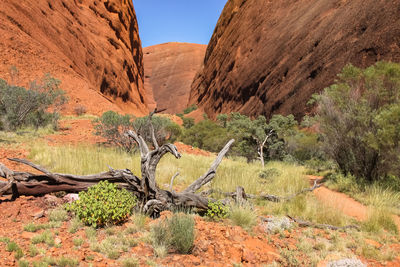 Scenic rock formations in the red centre, australia