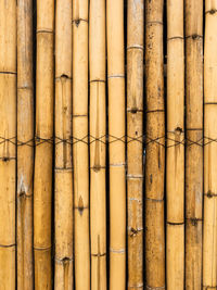 Old brown tone bamboo simple wall or bamboo fence texture background for  design vintage tone. 