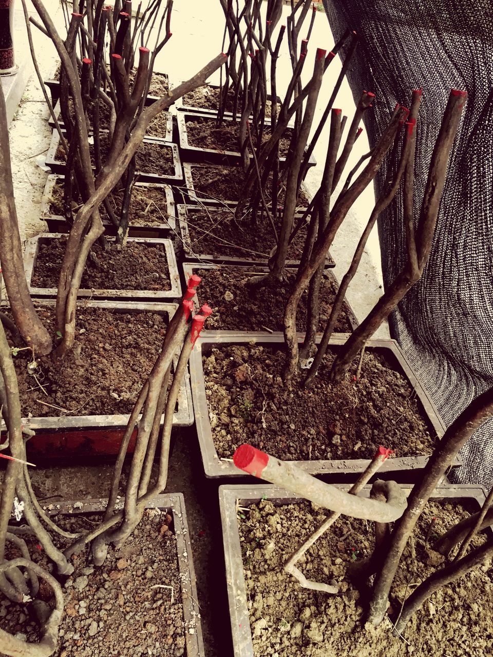 built structure, chair, indoors, metal, abandoned, architecture, potted plant, day, no people, high angle view, plant, absence, roof, railing, abundance, house, sunlight, large group of objects, steps