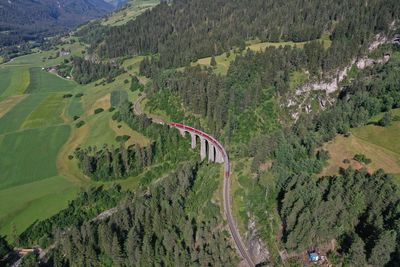 High angle view of trees and mountains