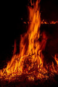 Fields with dry grass on fire in the night. fire raging furiously.