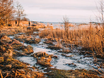 View of river in winter