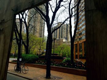 Trees in city against sky seen through window