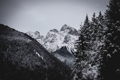 Low angle view of tree mountain against sky