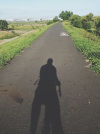 Person walking on road