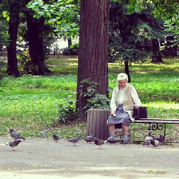 tree, full length, sitting, lifestyles, leisure activity, bicycle, park - man made space, men, grass, rear view, animal themes, tree trunk, land vehicle, one animal, person, casual clothing, bench, park