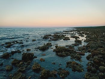 Scenic view of sea against sky during sunset