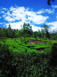 Scenic view of field against cloudy sky