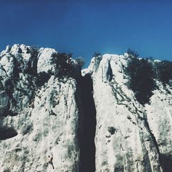 Low angle view of trees on mountain against clear sky