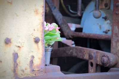 Close-up of old rusty metal