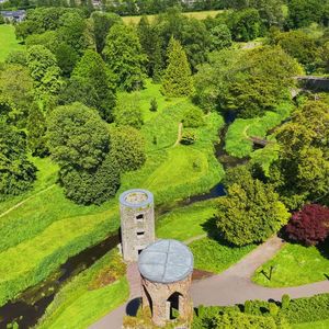 High angle view of trees and plants