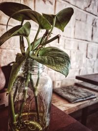 Close-up of flower vase on table