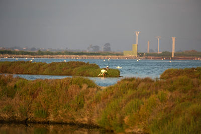 Scenic view of calm lake against sky