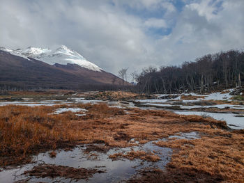 Scenic view of stream by snowcapped mountains against sky