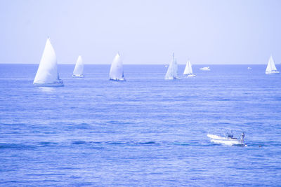 Sailboats sailing in sea against sky