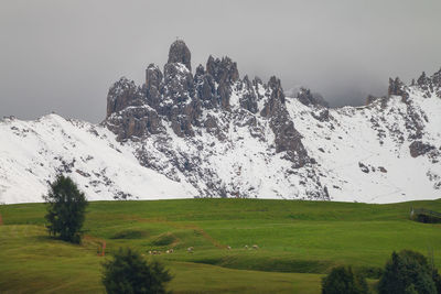 Scenic view of snowcapped field against sky