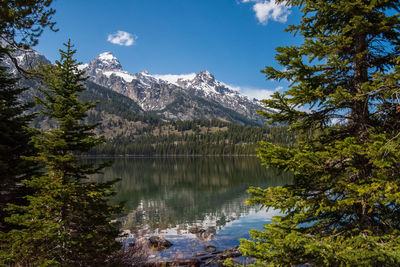 Scenic view of lake by trees against sky