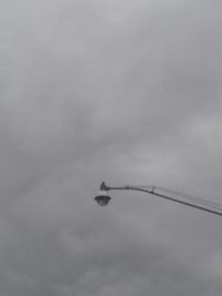 Low angle view of silhouette birds against sky