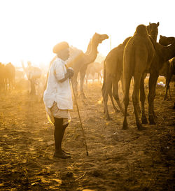 Rear view of woman walking at sunset