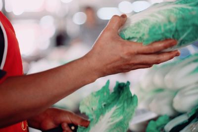 Close-up of hands holding vegetables in store