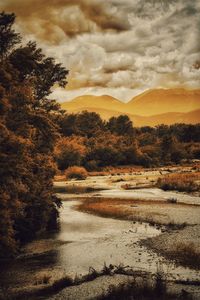 Scenic view of landscape against cloudy sky