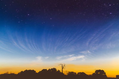 Low angle view of silhouette trees against sky at sunset