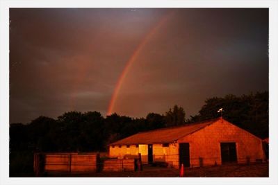 Rainbow over trees