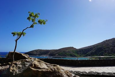 Scenic view of mountains against clear blue sky