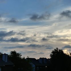 Low angle view of silhouette trees against sky