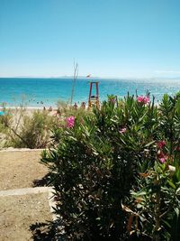 Scenic view of sea against clear sky