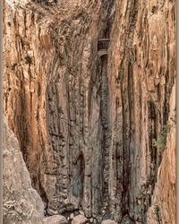 Full frame of tree trunk