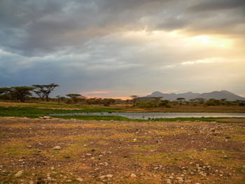 Scenic view of field against sky