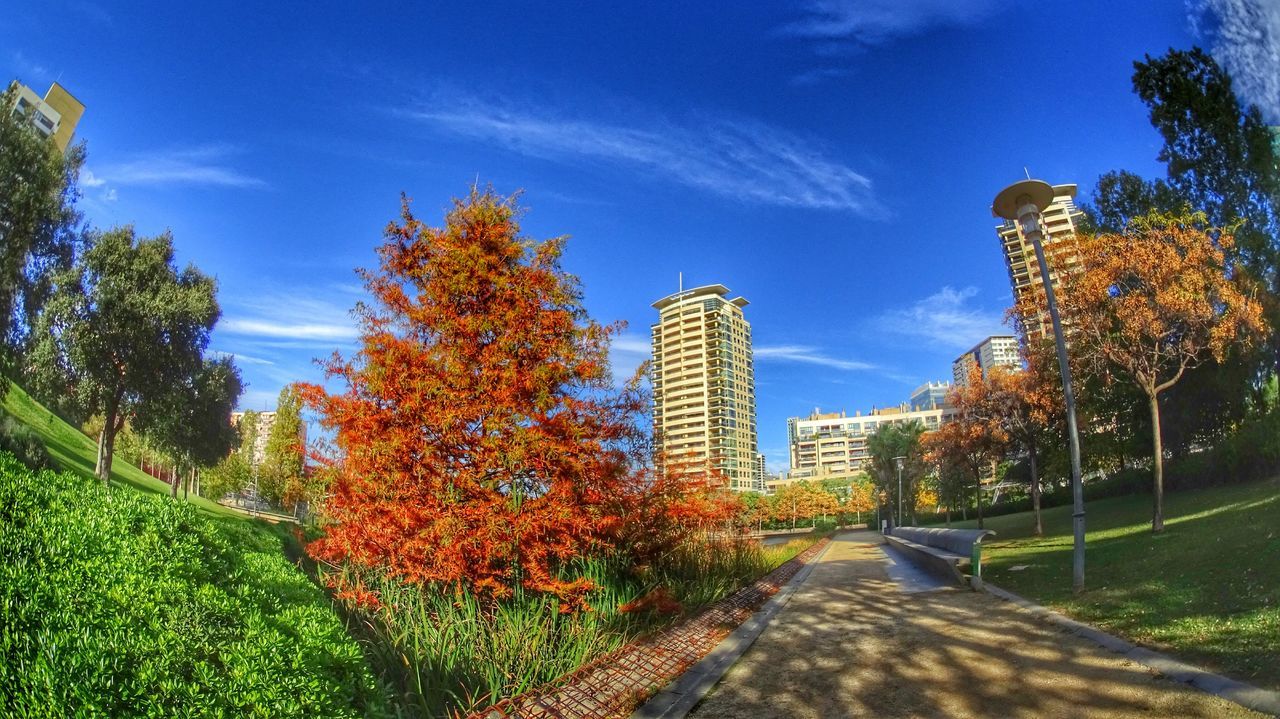 tree, building exterior, architecture, autumn, built structure, growth, sky, change, blue, sunlight, park - man made space, nature, outdoors, city, branch, day, the way forward, plant, no people, footpath