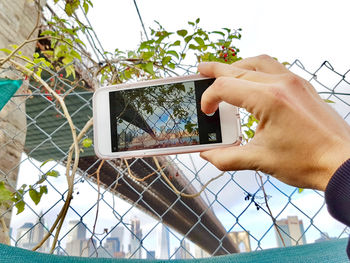 Cropped hand photographing bridge with mobile phone