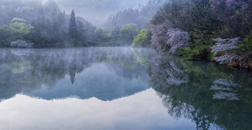 Scenic view of lake by trees against sky
