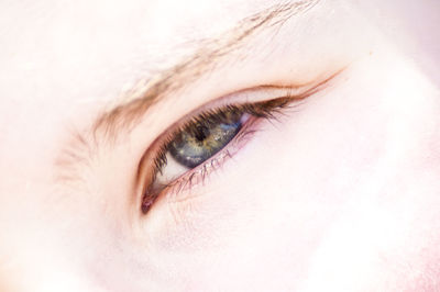 Cropped portrait of woman eye