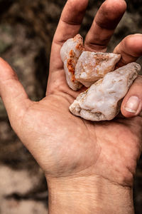 Cropped hand of person holding food