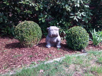 Plants against trees