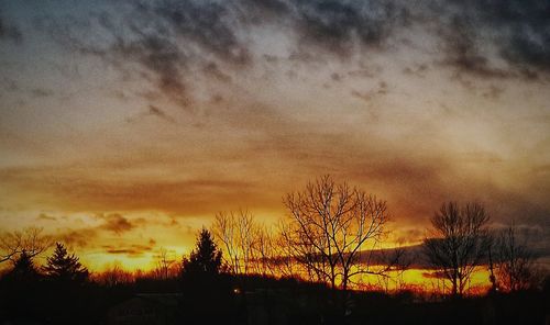 Silhouette trees against dramatic sky during sunset