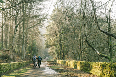 Men on road amidst trees