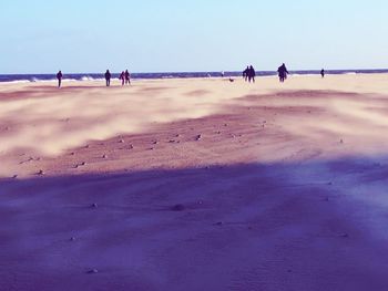 People on beach against sky