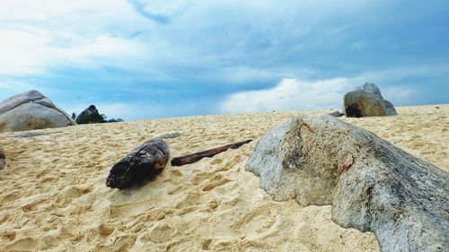 Rocks on beach against sky