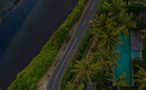 High angle view of road amidst trees in city