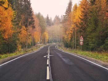 Country road amidst trees during autumn