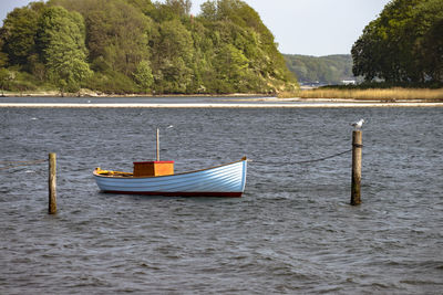 Sailboats moored in lake against trees